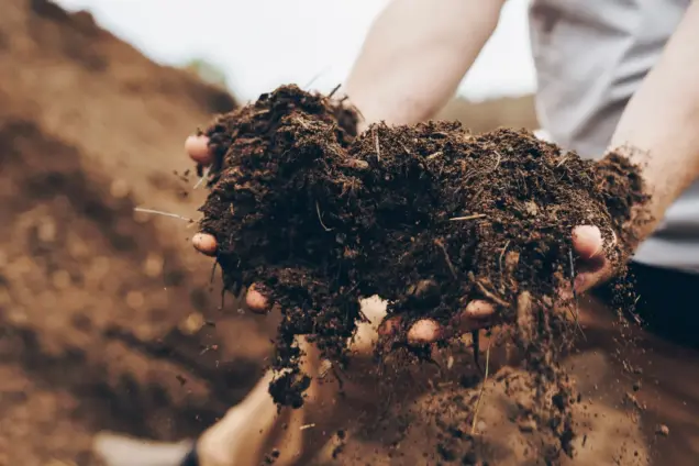 Find Mulch Near Me: Your Guide to Locating Quality Mulch for Your Landscaping Needs