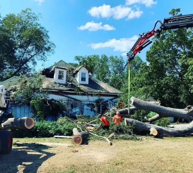 Who is Responsible for Down Tree Removal
