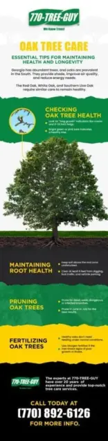 The Mighty Oak: 3 Common Oak Trees in our Region and How to Care for Them