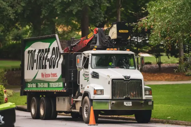 Do Tree Removal Service need to be Licensed