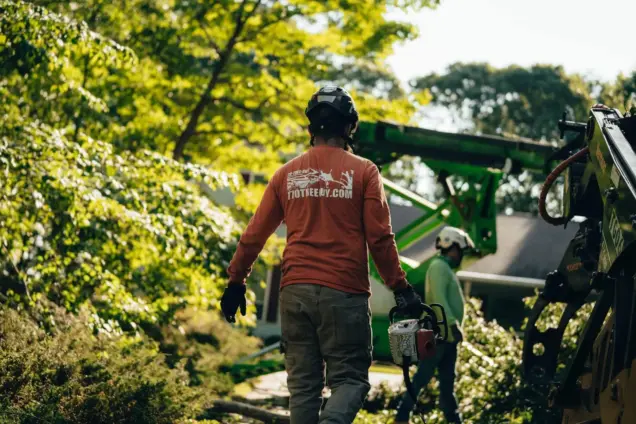 What is Tree Service