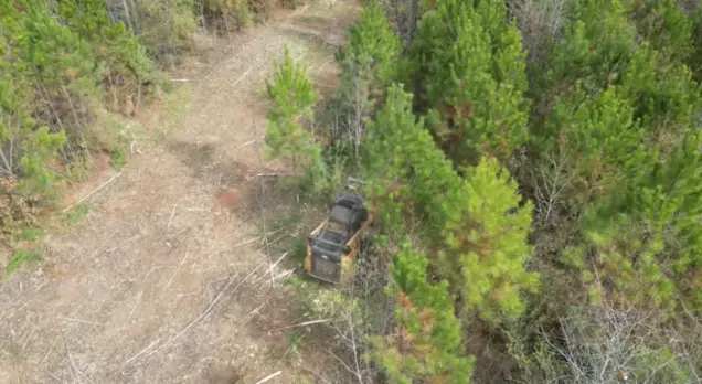 The Complete Guide to Forestry Mulching