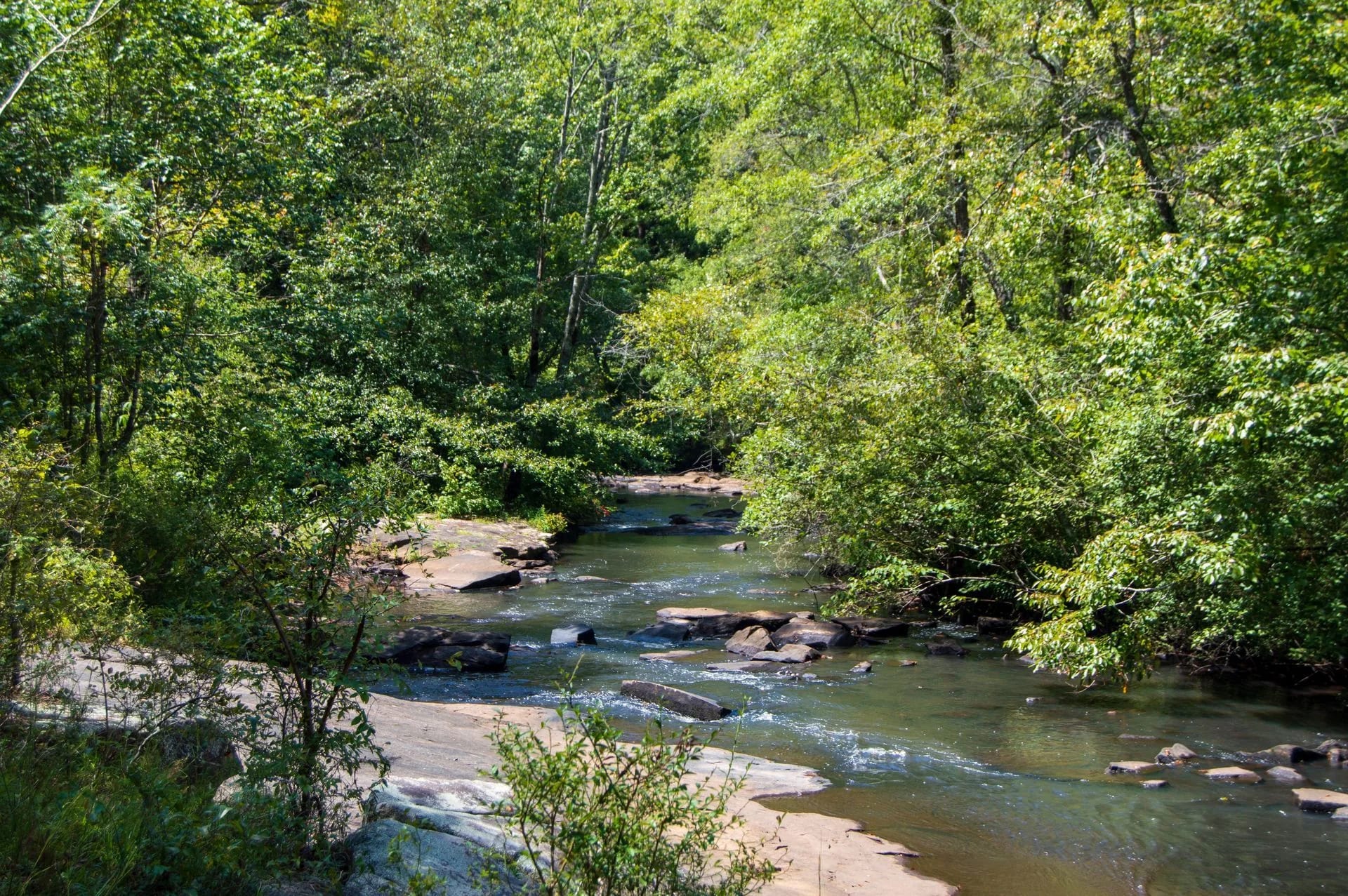 A river winding through lush green forest near Peachtree City, GA